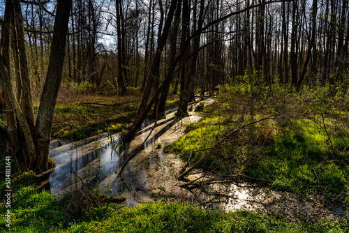 Park Narodowy , Ujście Warty, Lubuskie, Gorzów Polska , Łąki , Warta, rzeka, ścieżka dydaktyczna