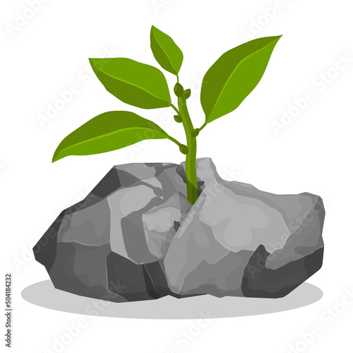 Sprout of plant with small green leaves breaks through stone. Victory of wildlife, natural selection. Cartoon vector isolated on white background