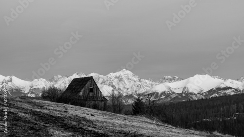 Fototapeta Naklejka Na Ścianę i Meble -  tatry, Góry, Karpaty, Podhale, Bocian , Rzeka górska, Dunajec , Wiosna, Polska, Słowacja