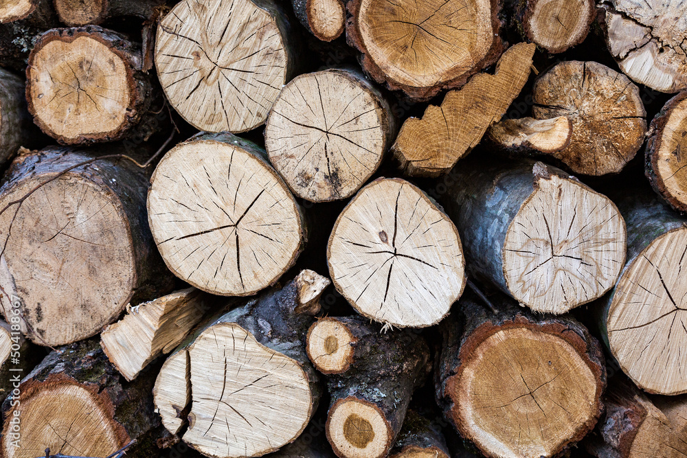 Wood texture.Pile of cut timber background.