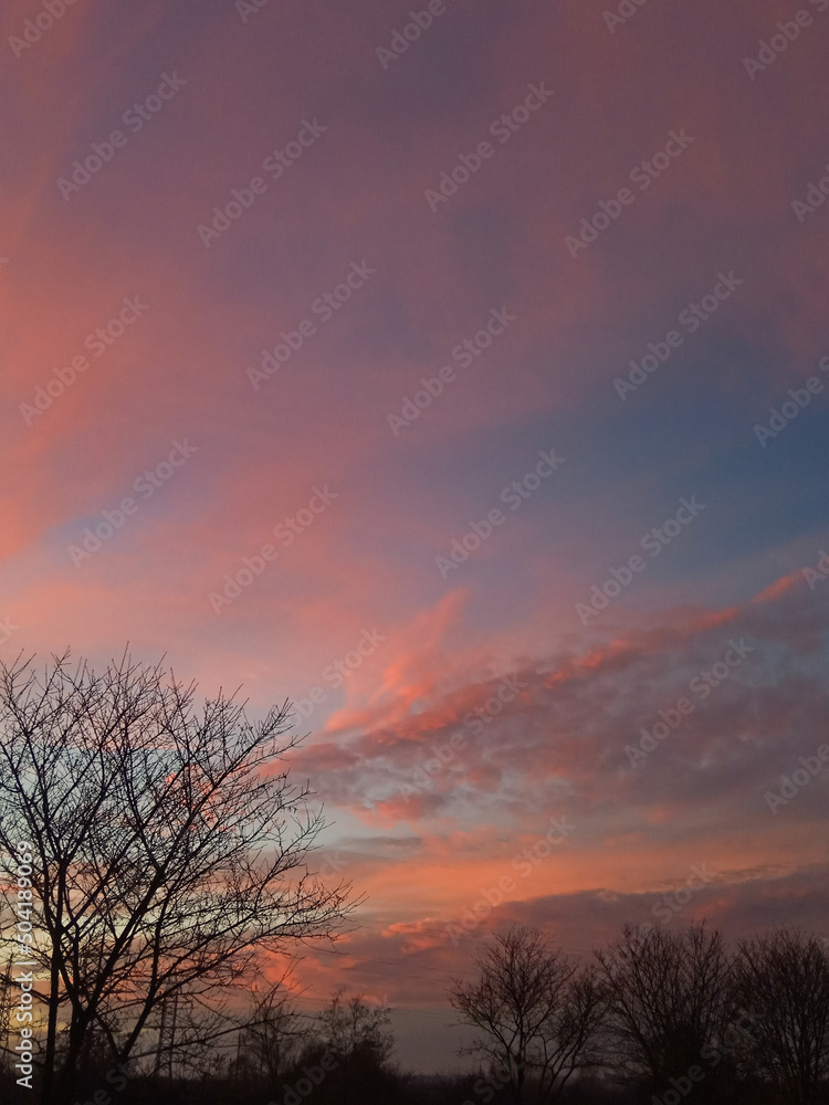 Sky Sky