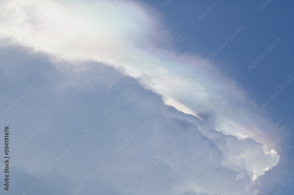 Iridescent Pileus Cloud is a beautiful natural phenomenon floating above The blue sky and white clouds as background and wallpaper. 