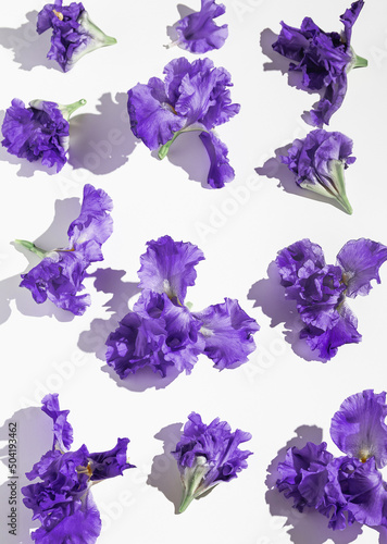 Fototapeta Naklejka Na Ścianę i Meble -  Creative composition made of beautiful iris flowers on white background. Nature concept. Summer pattern. Top view. Flat lay