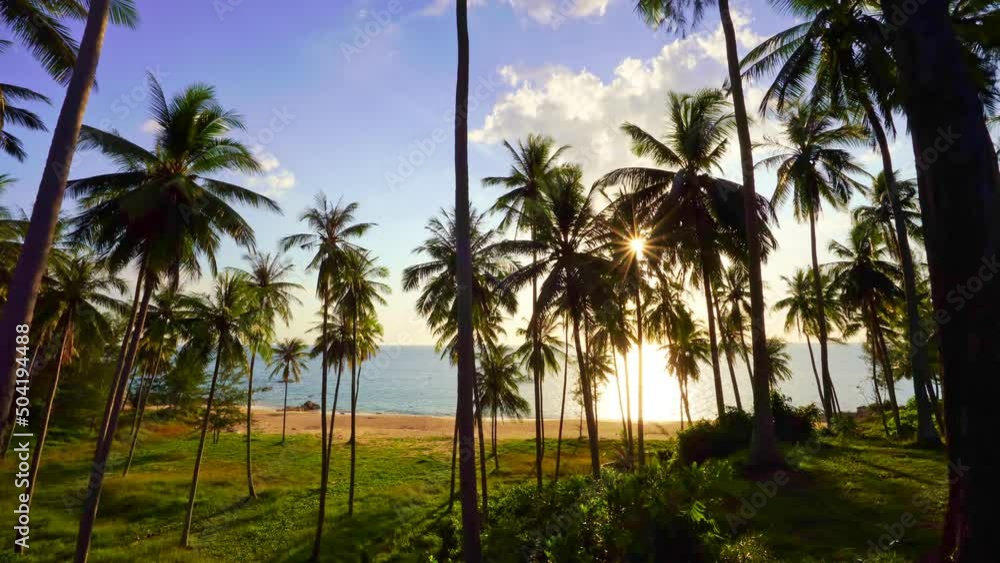 Silhouette coconut palm trees and beautiful sunset sky over sea Amazing light nature colorful landscape Beautiful light nature sky and clouds seascape at Phuket island Silhouette coconut palm trees and beautiful sunset sky over sea Amazing light nature colorful landscape Beautiful light nature sky and clouds seascape at Phuket island