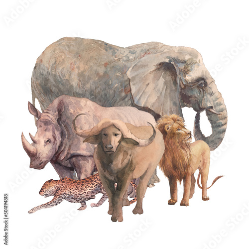 Big african five animals illustration. Watercolor painting of safari fauna. Wild life artwork © ldinka