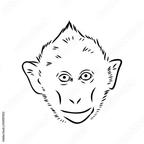 Monkey icon. Jungle macaque outline badge. Zoo animal. Vector illustration.