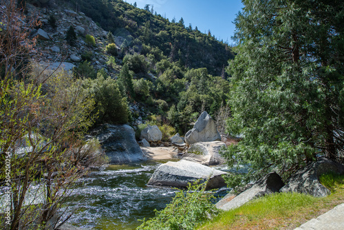 Landschaft mit Bach im Yosemite National Park photo