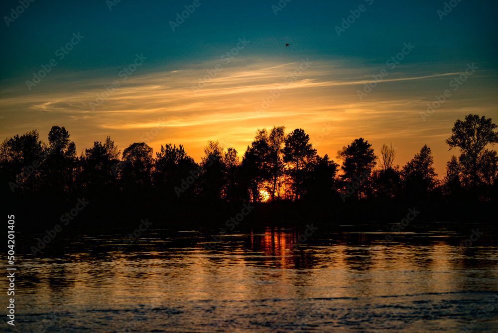 sunset river silhouette forest
sunset river silhouette forest