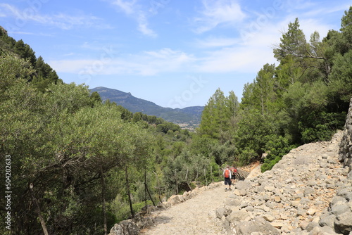 Gente practicando senderismo por un camino empedrado de las monta  as de la Serra de Tramuntana de Mallorca.