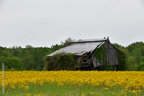 old barn in the field with barn on the right