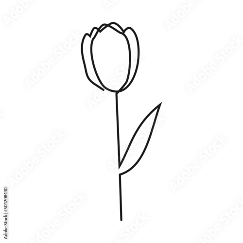 一筆書きで描いたチューリップ　線画のイラスト素材