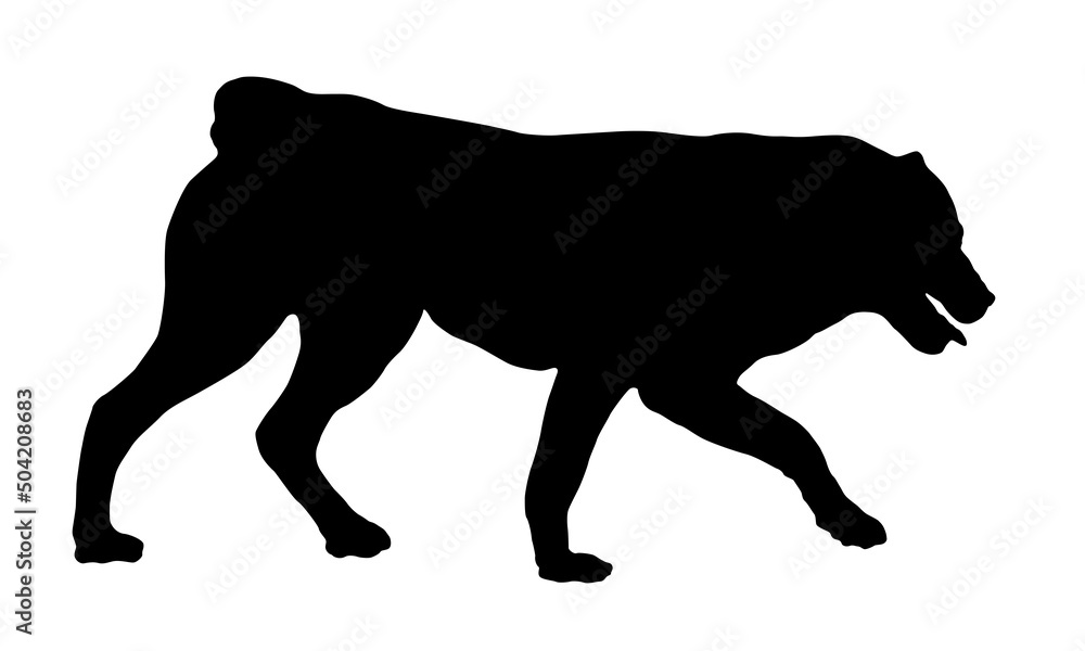 Black dog silhouette. Walking central asian shepherd dog puppy. Alabay or aziat. Pet animals. Isolated on a white background.