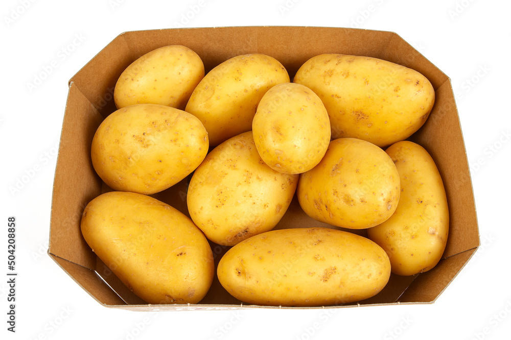 fresh potatoes isoalted on white background fresh potatoes isoalted on white background