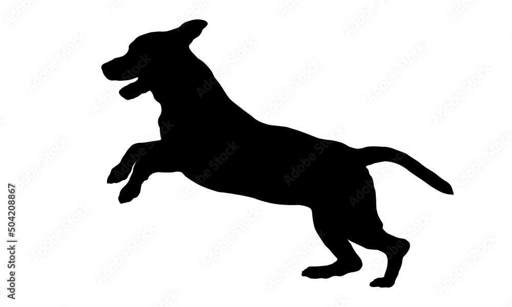 Running and jumping english beagle puppy. Black dog silhouette. Pet animals. Isolated on a white background.