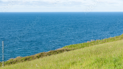 Ladera de hierba verde junto al horizonte marino