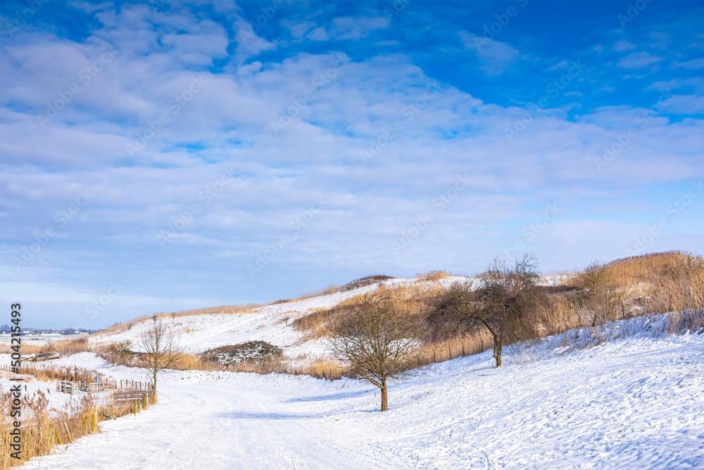 Snowy landscape with hills and meadows in Buytenpark Zoetermeer, the Netherlands Snowy landscape with hills and meadows in Buytenpark Zoetermeer, the Netherlands