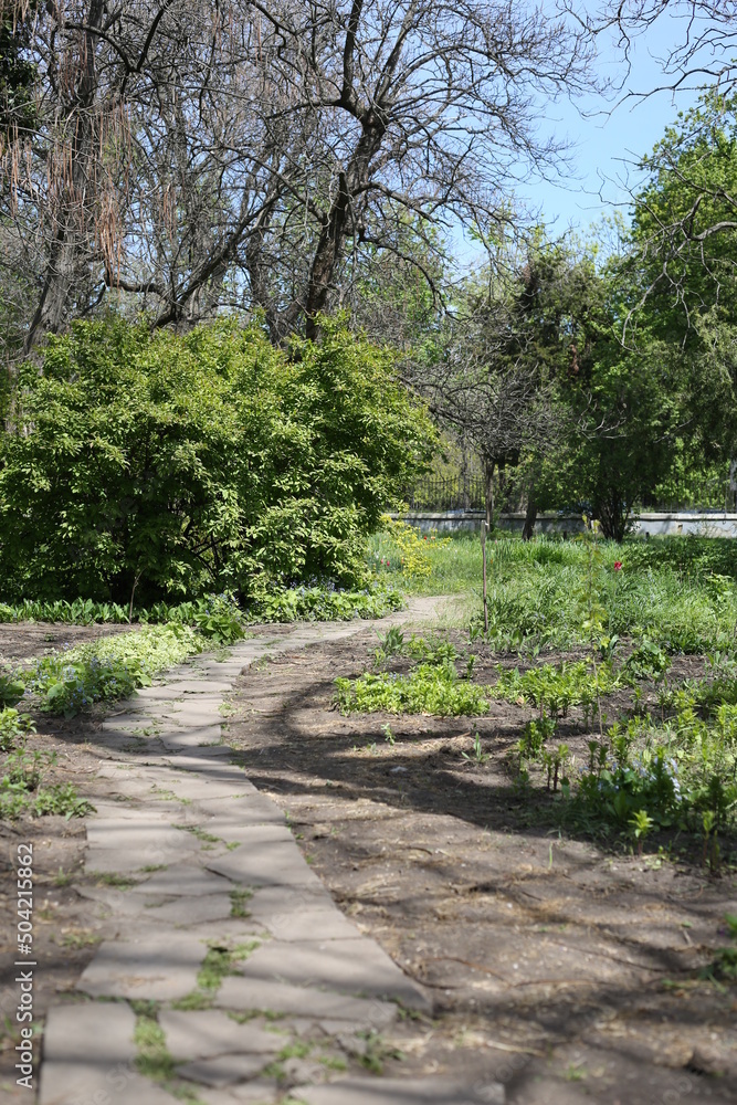 Fototapeta premium path in the park