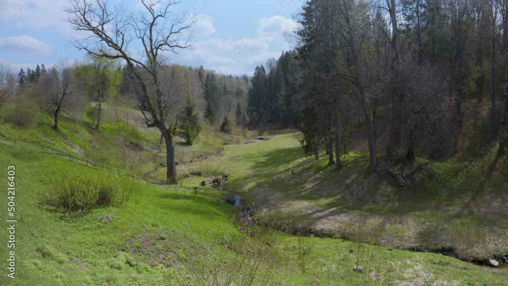 Green grass in the meadows on a sunny spring day. Latvian landscape on the hills with a pond near the house. Blue sky with white clouds over the forest and the road. Latvia