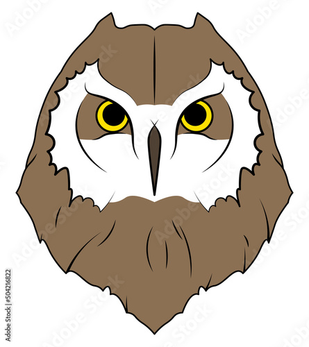 Owl head cartoon bird animal isolated illustration