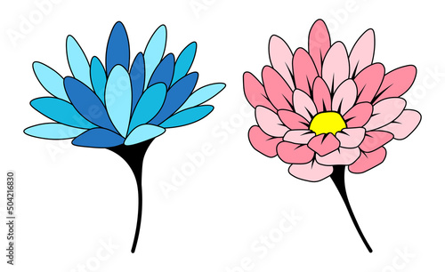 Flower blooming pink and blue cartoon plant isolated illustrations