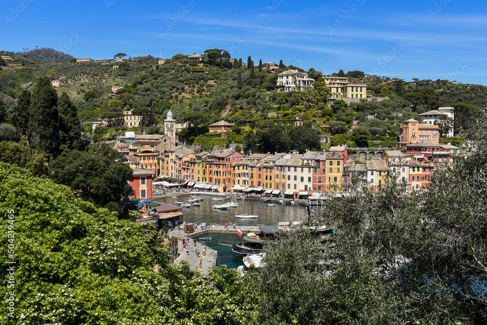 Elevated view of the historic fishing village and popular holiday resort on the shore of the Tigullio Gulf, Portofino, Genoa, Liguria, Italy