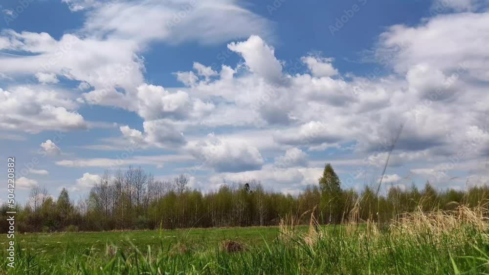 Summer Time Tranquil Landscape. Calm Field On Wood. Freshness Peaceful Landmark. Relaxation Sunlight In Park Leisure Meadow. Beautiful Nature Near River At Summer. Scenery Field On Countryside Meadow Summer Time Tranquil Landscape. Calm Field On Wood. Freshness Peaceful Landmark. Relaxation Sunlight In Park Leisure Meadow. Beautiful Nature Near River At Summer. Scenery Field On Countryside Meadow