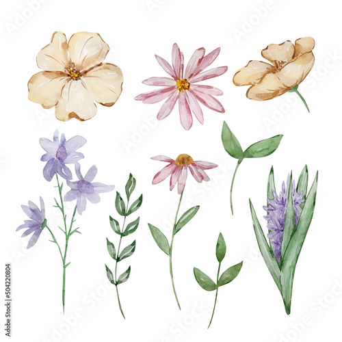 Watercolor set of garden flowers