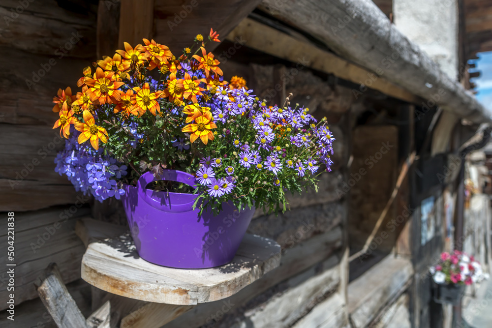 Jardinière suspendue pour décoration , village de Saint Véran dans les Hautes-Alpes , France