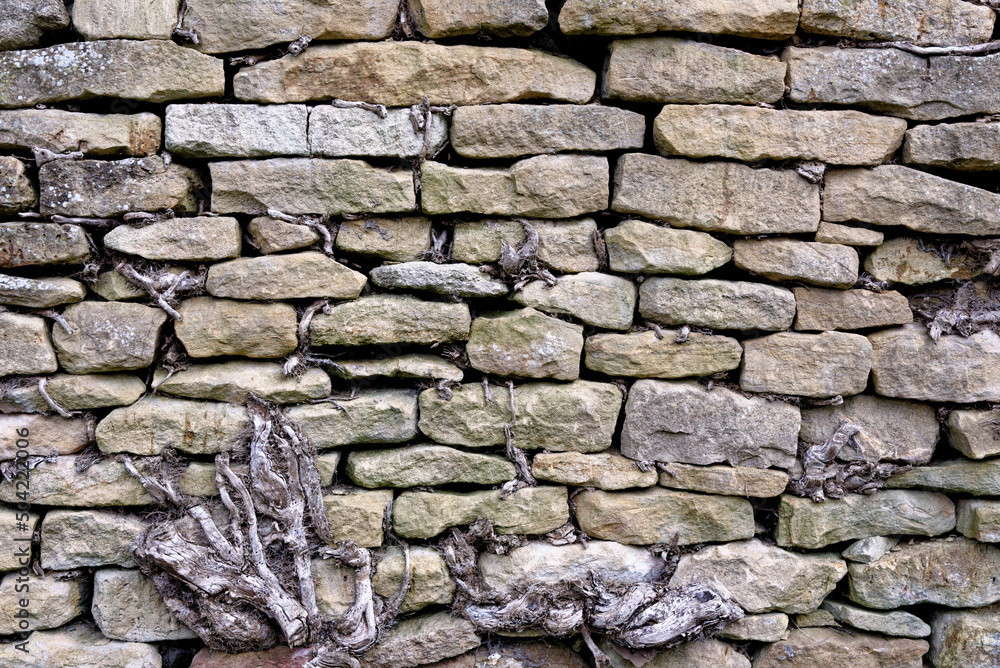 Cotswold stone Background at Burford in the Cotswolds Cotswold stone Background at Burford in the Cotswolds