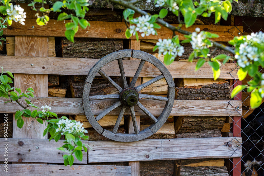 Old wooden wheel hanging on a wooden background.