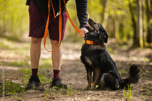 Mężczyzna odpina swojego psa ze smyczy podczas spaceru w lesie
