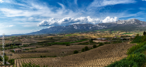 landscape view of vineyards and mountains in the La Rioja Alavesa region of northern Spain photo