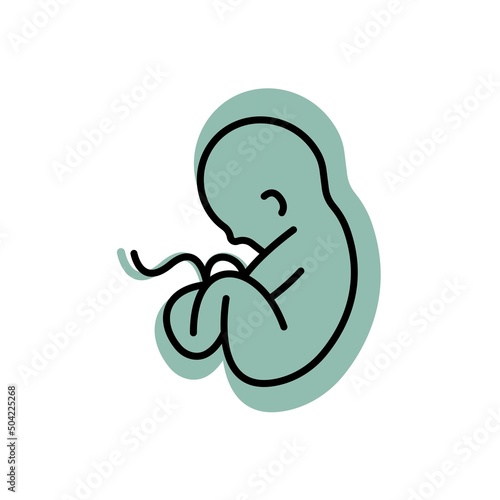Development of the human embryo in the womb. Trendy flat isolated color symbol, sign can be used for: illustration, infographic, logo, mobile, app, banner, web design, dev, ui, ux, gui. Vector EPS 10
