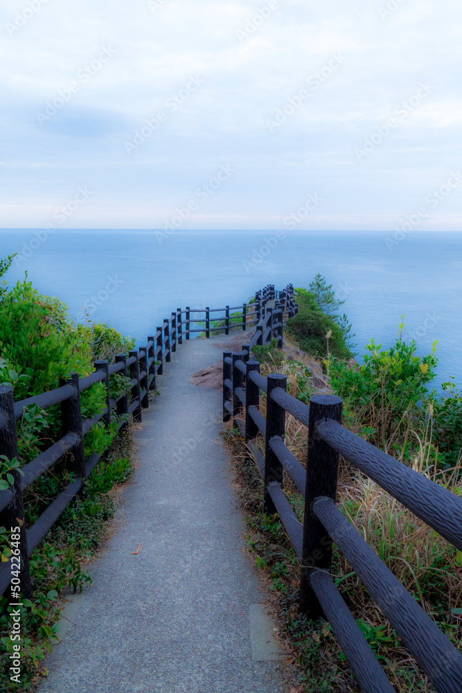 Fototapeta premium path to the sea