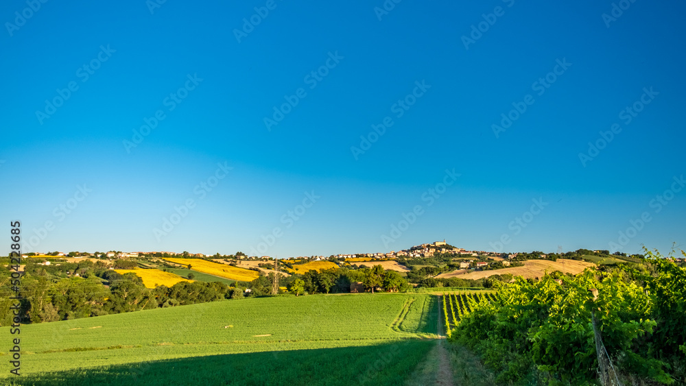 Fototapeta premium Beautiful sunrise in the countryside of Marche in a summer morning