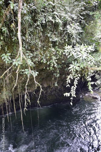 Pailon del Diablo - Mountain river and waterfall in the Andes. Banos