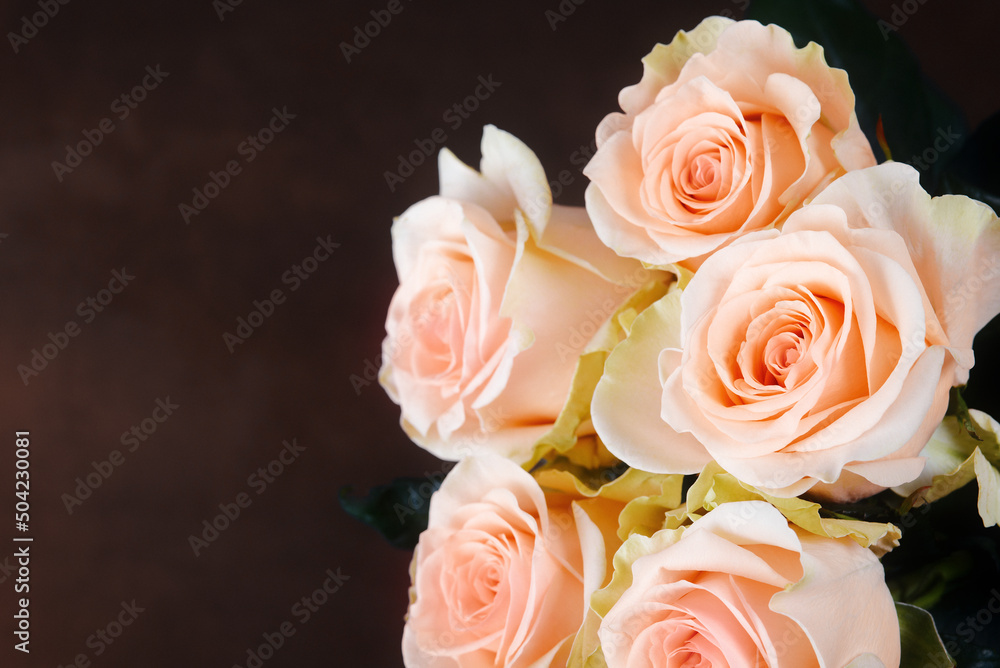 A bouquet of roses is beautiful, fresh, bright on a dark brown background. A bouquet of roses is beautiful, fresh, bright on a dark brown background.