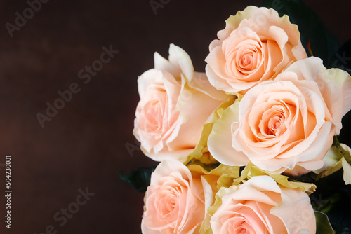 A bouquet of roses is beautiful, fresh, bright on a dark brown background.