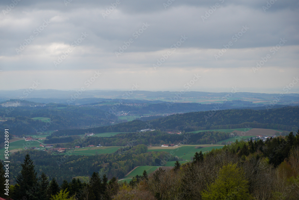 Forest in Bavaria in spring, everything in wood blooms and awakens to new life 