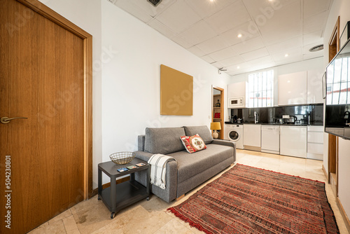 Apartment with open kitchen, sofa bed upholstered in gray fabric, jarapa on the cream marble floor in a short stay apartment photo