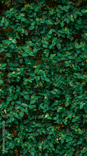 abstract background