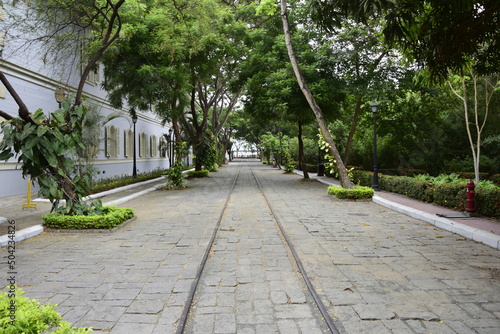 Fototapeta Naklejka Na Ścianę i Meble -  sidewalk with lampposts and trees, surrounded by dense vegetation, in the Historical Park of Guayaquil, Ecuador