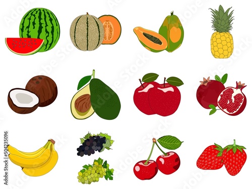Fruits set vector drawing on isolated background collection of watermelon melon papaya pineapple coconut avocado apple pomegranate banana black green grapes cherry strawberry illustration flat design