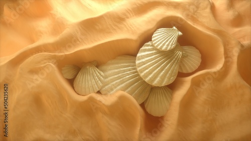 seashell on the sand