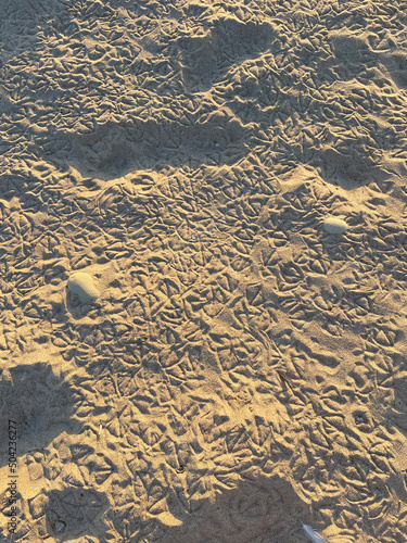 Ventura Beach