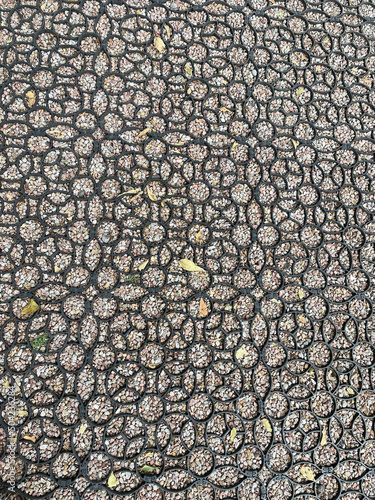 Closeup of path