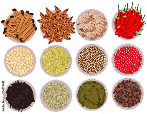 Spices and herbs ingredients seasoning flavoring set vector drawing adding flavor to food collection of bay leaf cinnamon anise dried lemon dried pepper and more all in bowls for cooking concept