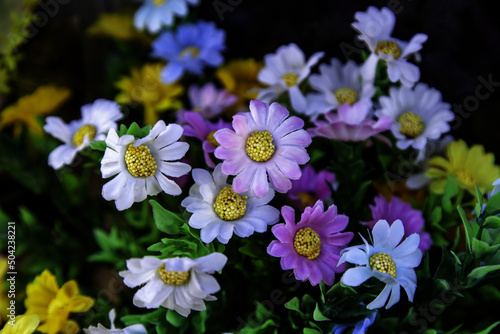 Colored daisies bouquet