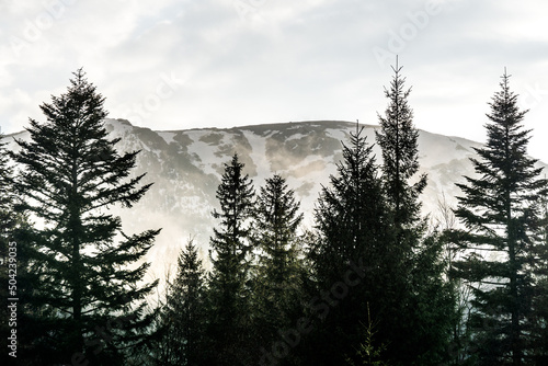 Spring in Carpathians