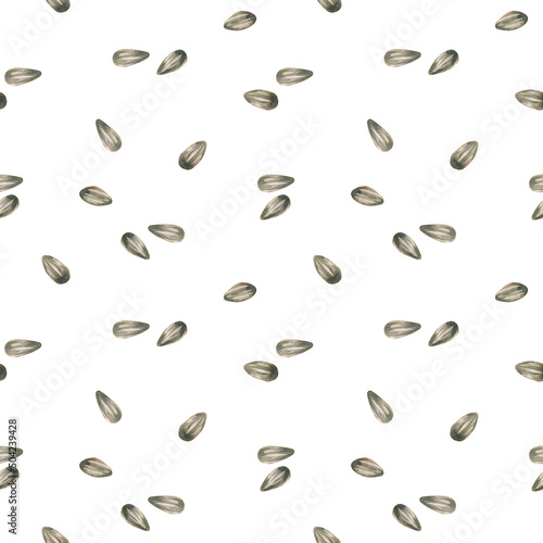 Watercolor seamless pattern with peeled sunflower seeds isolated on a white background. Bright summer collection.